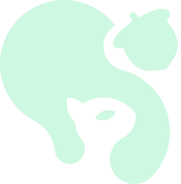 logo do Skeelo