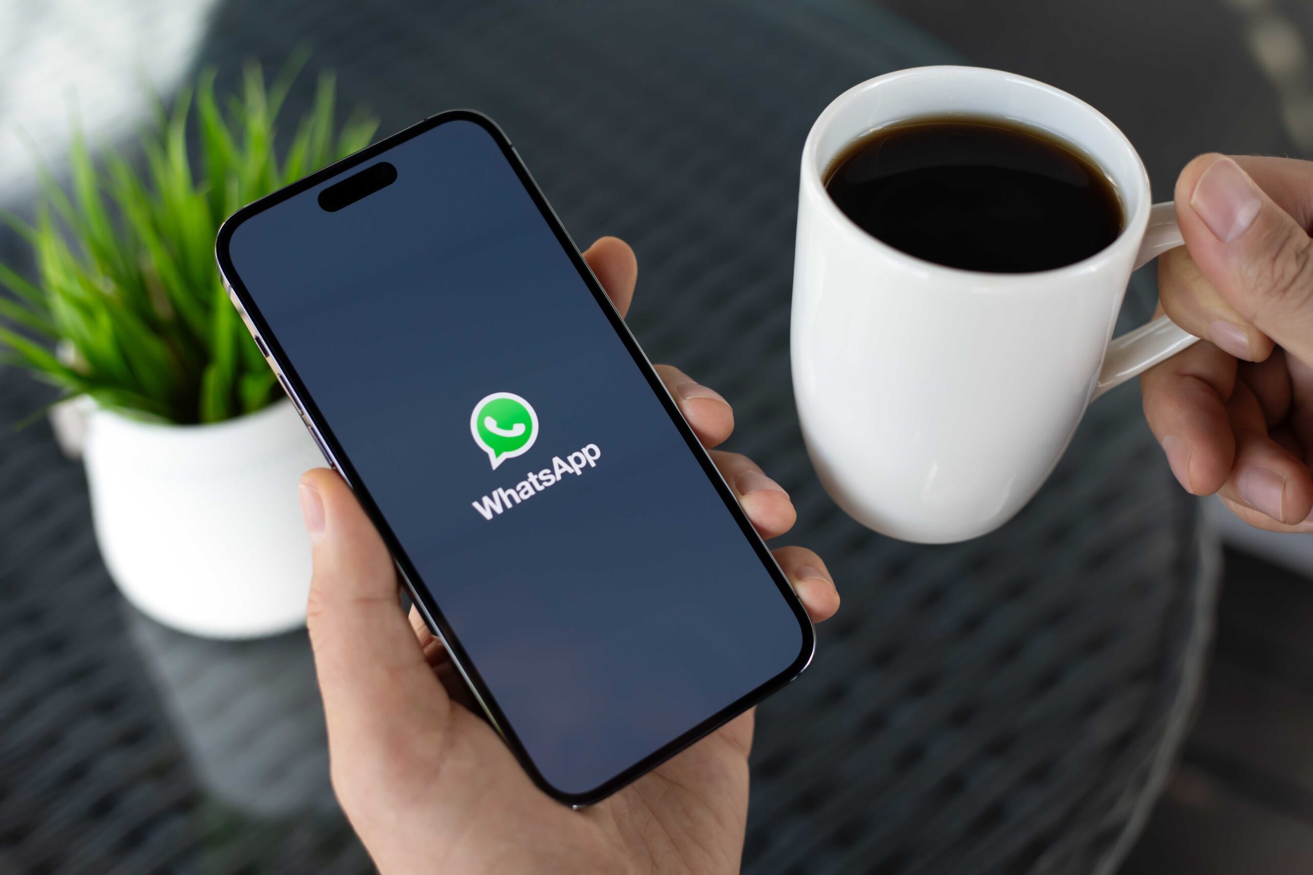 Como proteger o WhatsApp de golpes